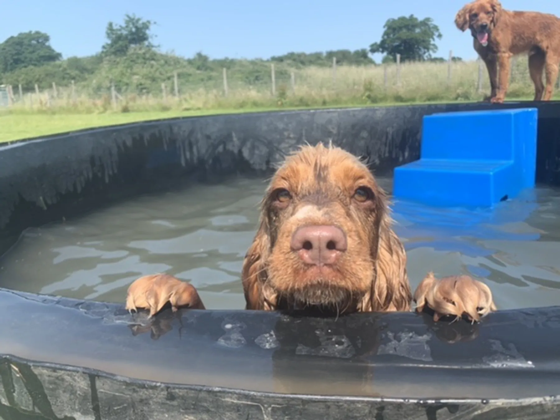 Dog Hydrotherapy Pool Round 1800 litres